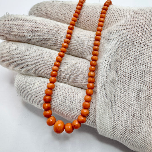 Early 1900s Coral Necklace with Silver Tube Clasp.