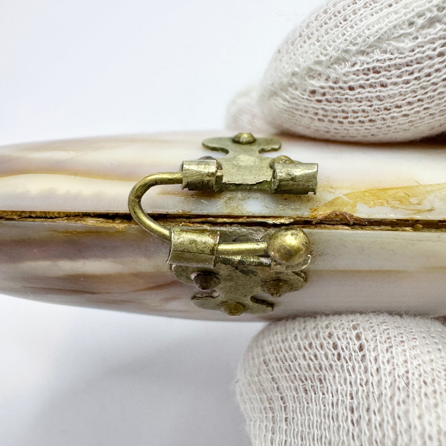 Antique Victorian Shell Coin Purse.