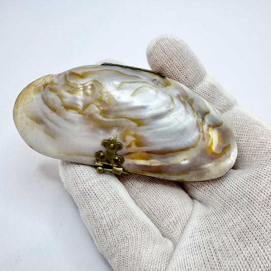 Antique Victorian Shell Coin Purse.