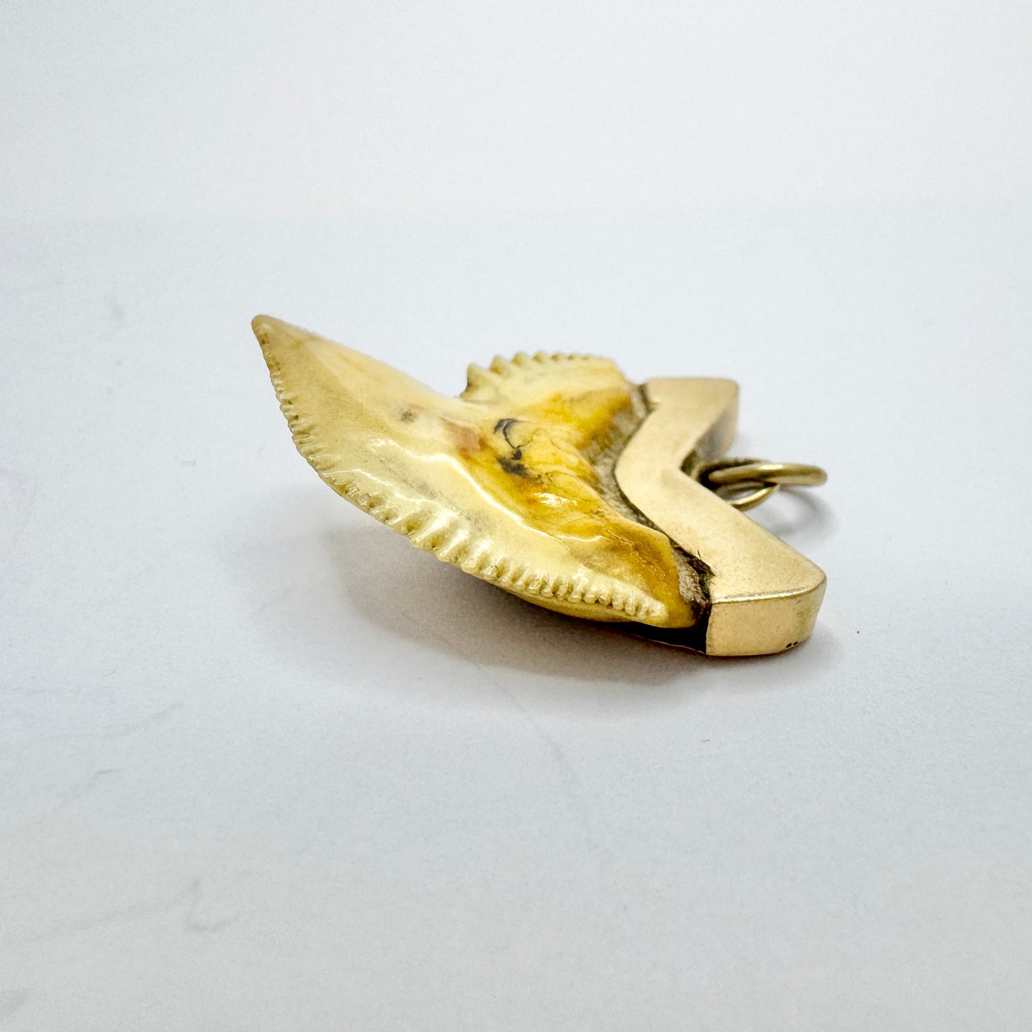 Antique or Vintage 14k Gold Shark Tooth Pendant.