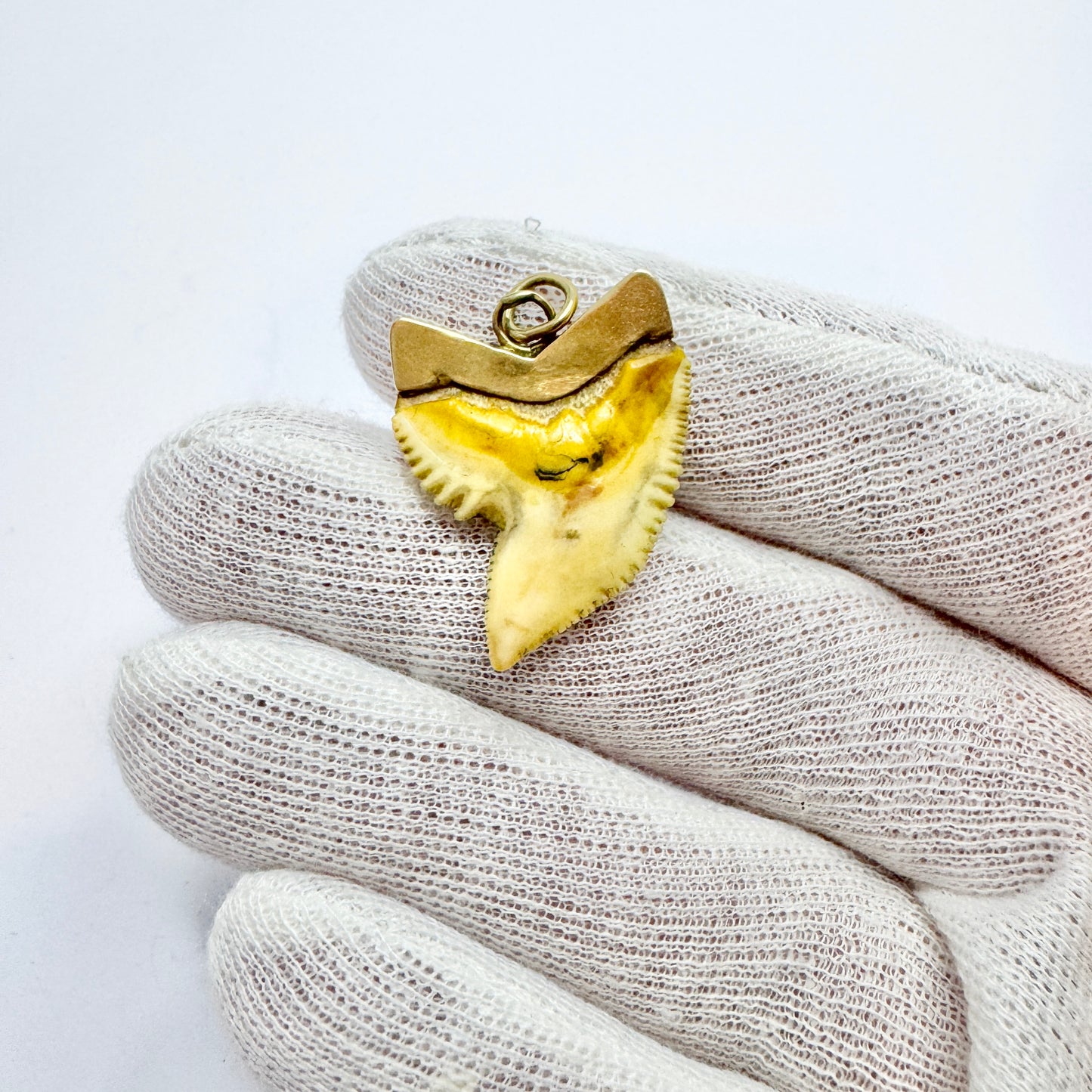 Antique or Vintage 14k Gold Shark Tooth Pendant.