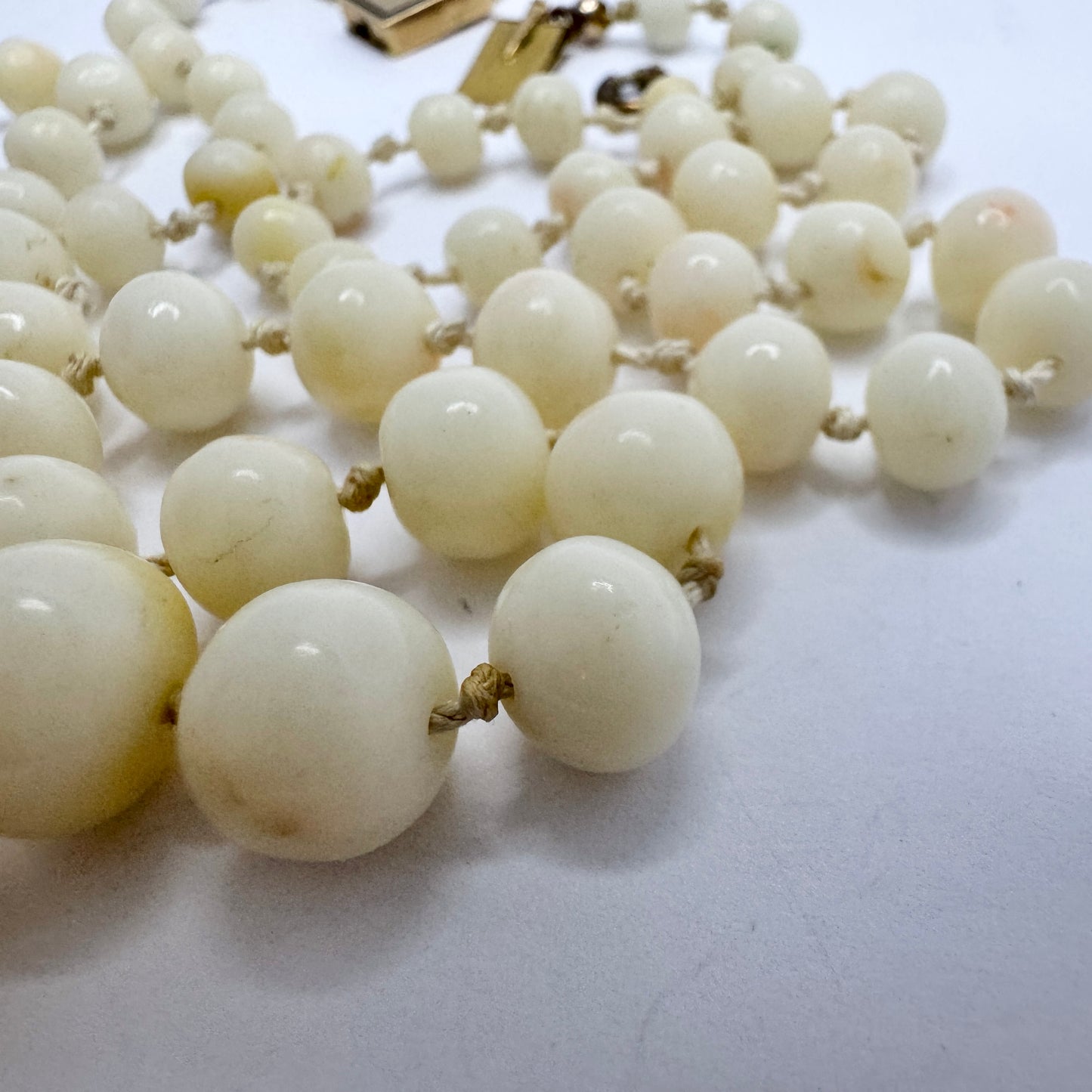 CF Hultbom, Sweden 1838. Antique 18k Gold Angel Skin Coral Necklace.