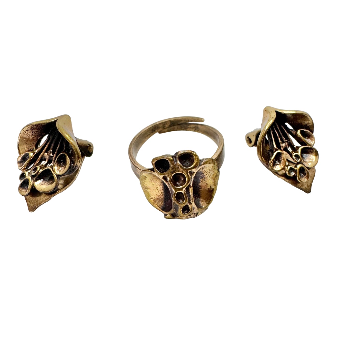 Finland 1970s. Vintage Reindeer Moss Design Bronze Ring + Earrings.