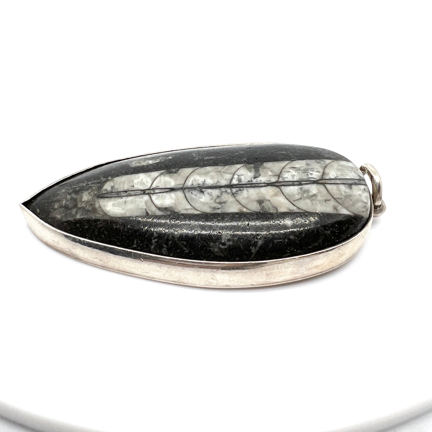 Sweden. Large Sterling Silver Fossil Pendant