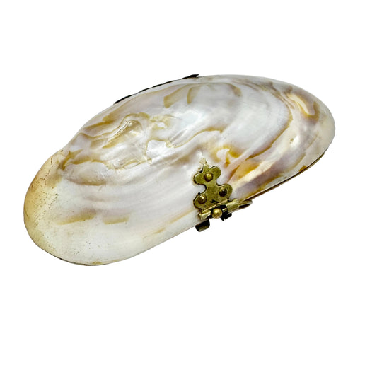Antique Victorian Shell Coin Purse.