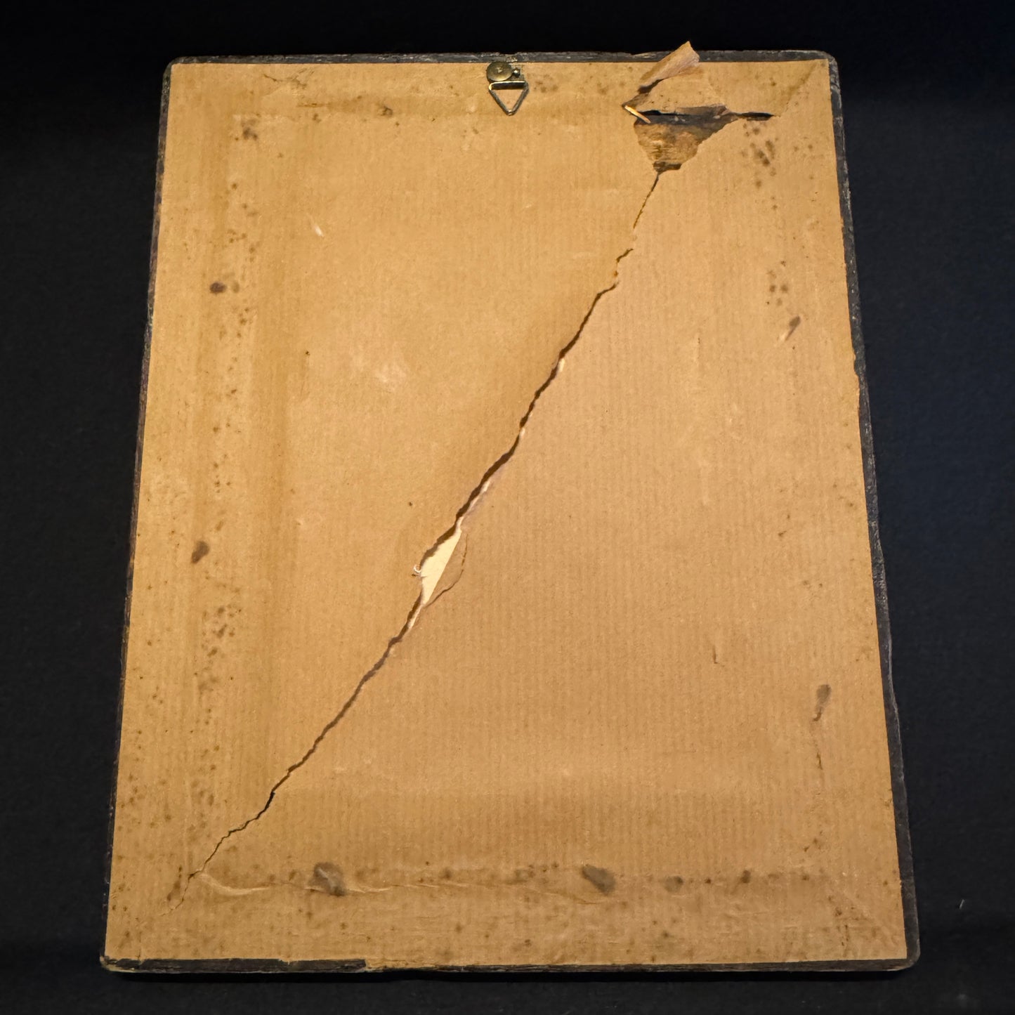 Antique Color Lithograph Cum Privilegio Regis Dni De Passebon Equitis