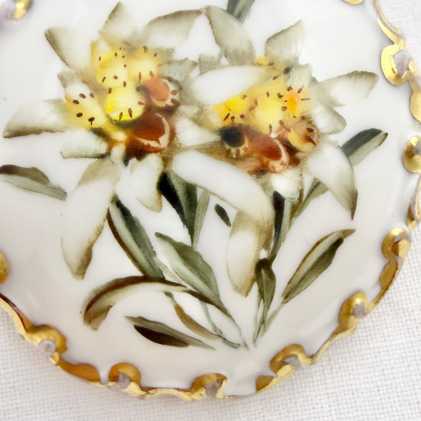 Rosenthal, Germany. Vintage Porcelain Edelweiss Brooch.