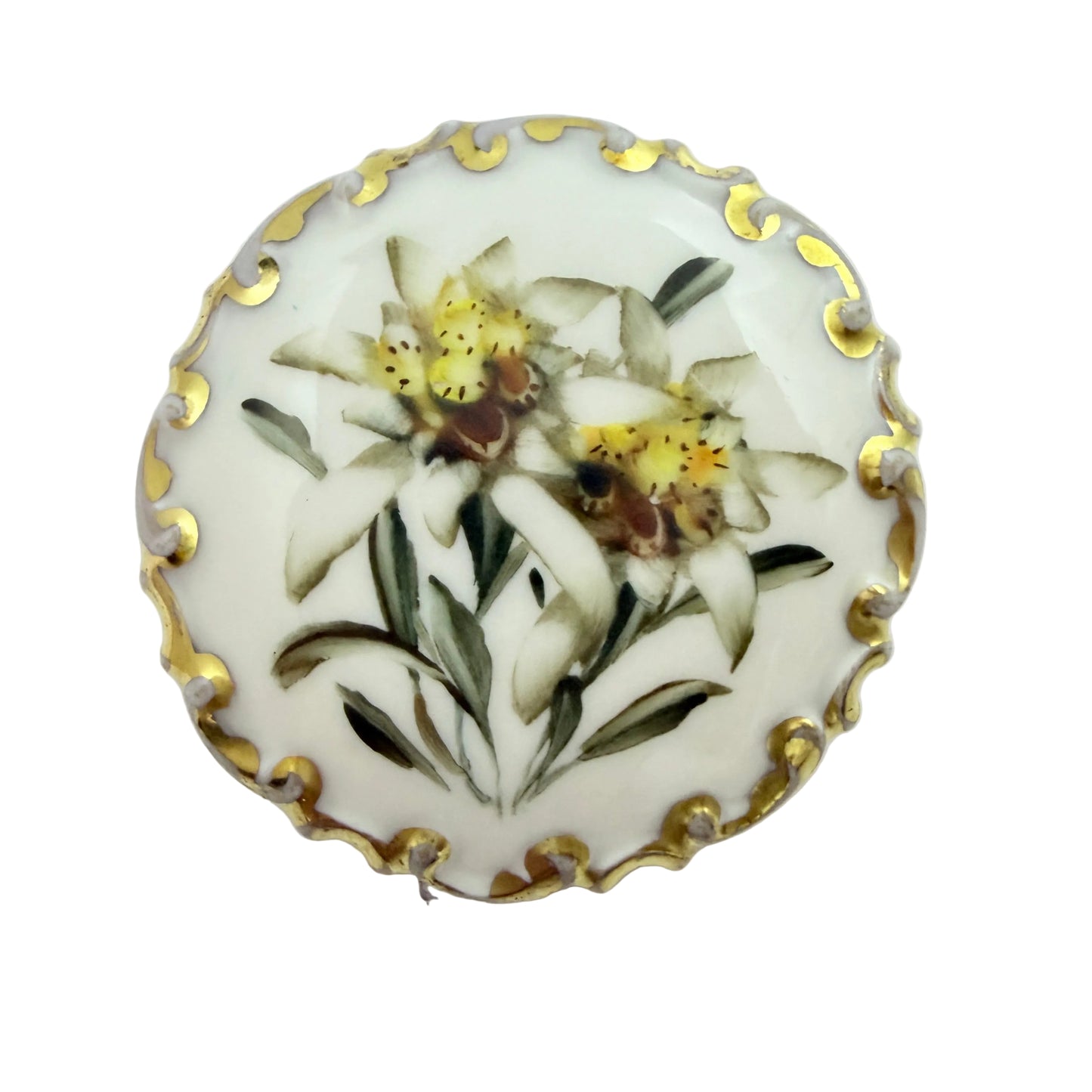 Rosenthal, Germany. Vintage Porcelain Edelweiss Brooch.